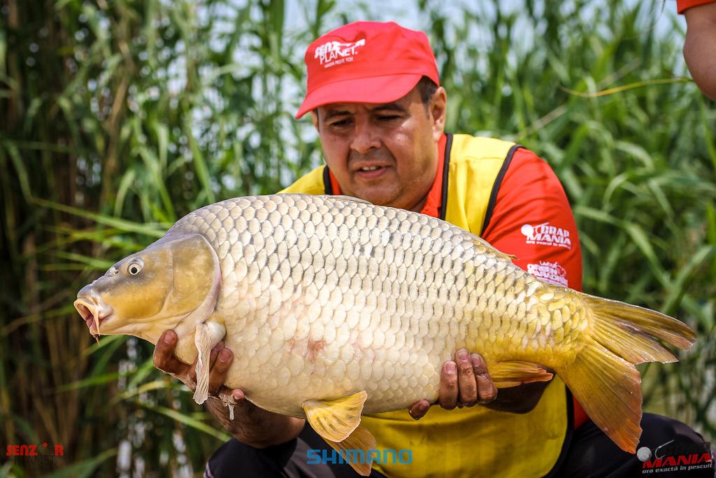 CN 2017 - george-slave-senzor.jpg